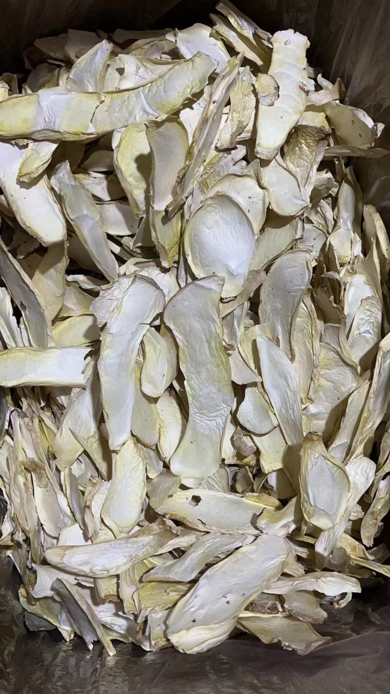 杏鲍菇产地直销批发小片干货中片大片新鲜烘干精选菌菇土特产