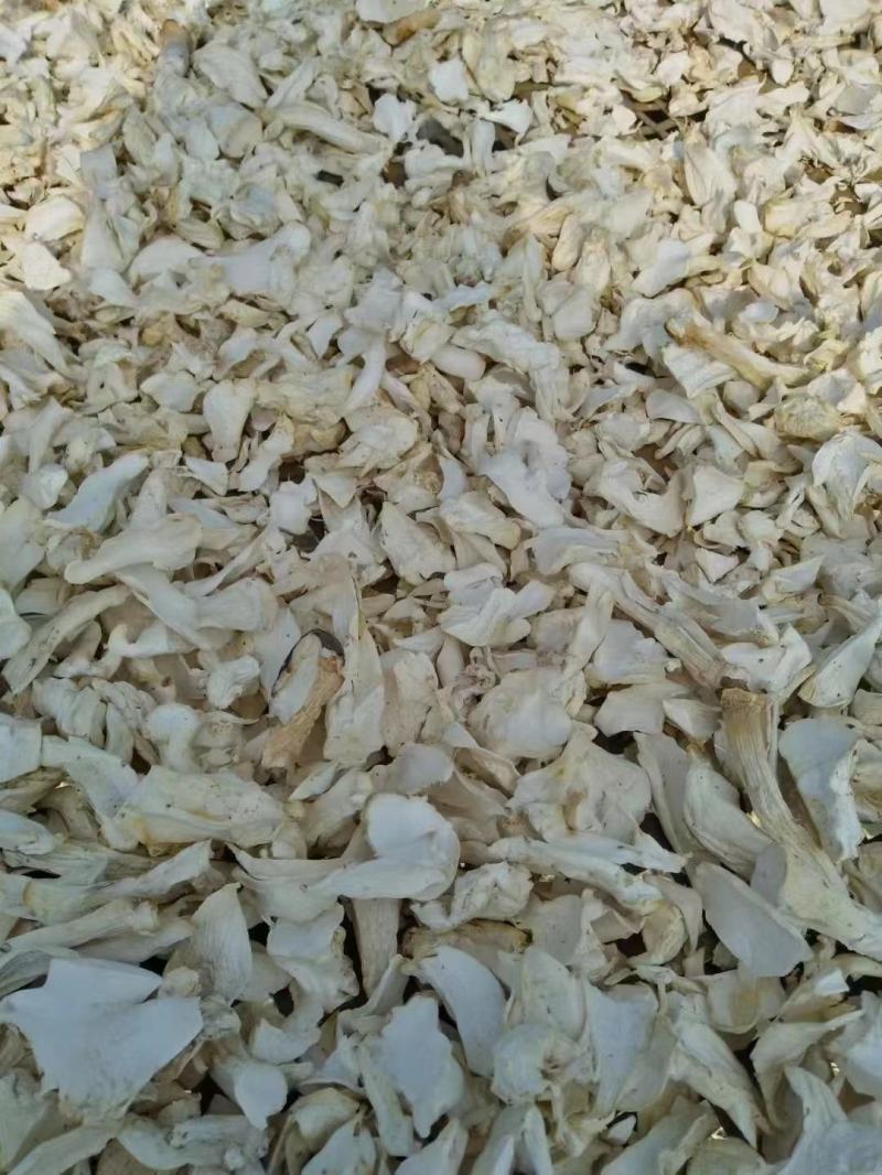 杏鲍菇产地直销批发小片干货中片大片新鲜烘干精选菌菇土特产