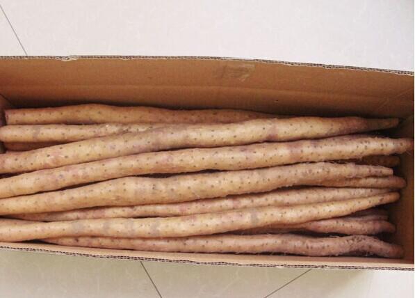 红薯与胡萝卜、山药搭配食谱示意图