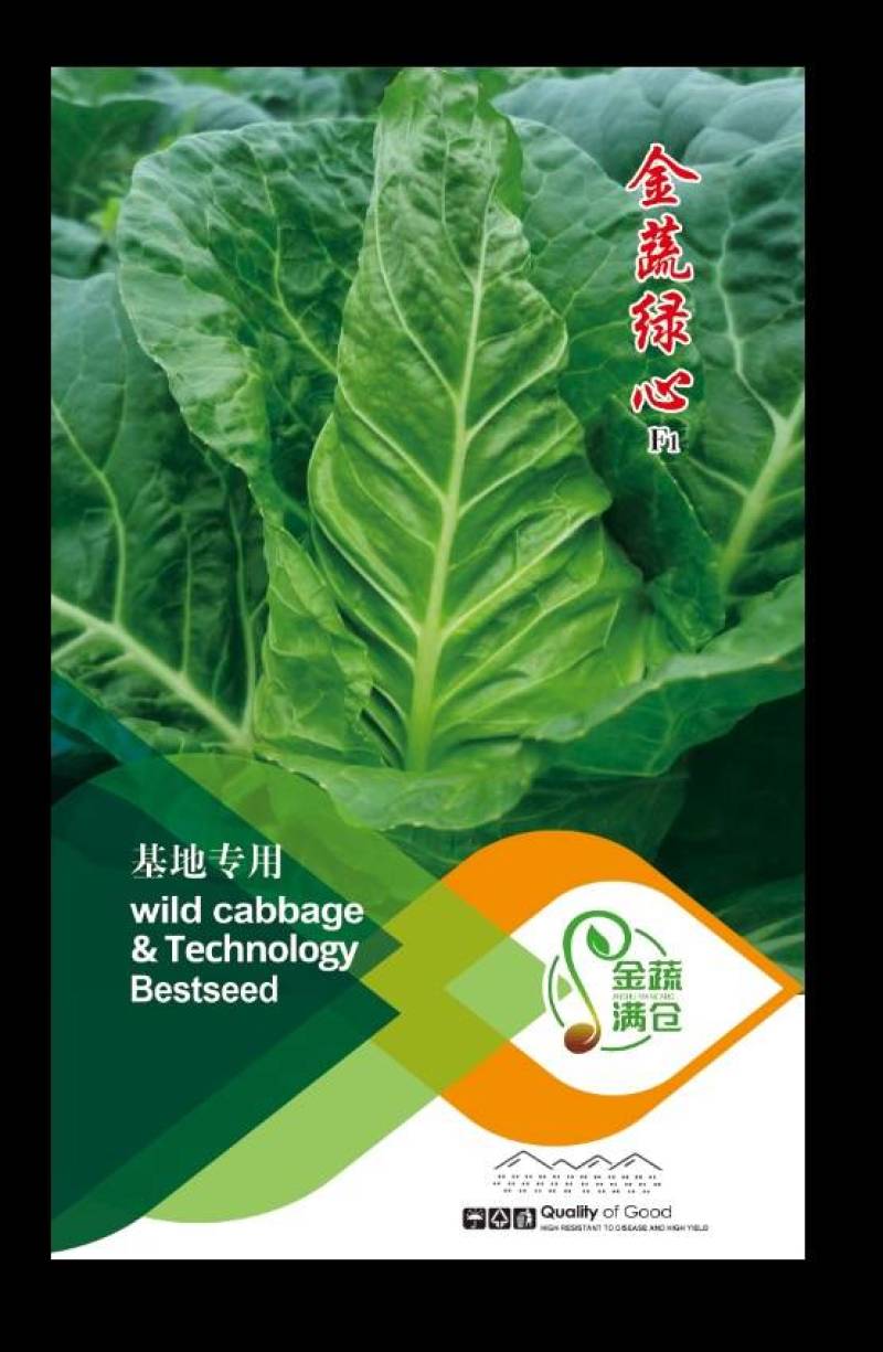 牛心甘蓝苗（大型基地优选品种）“金蔬绿心”品牌
