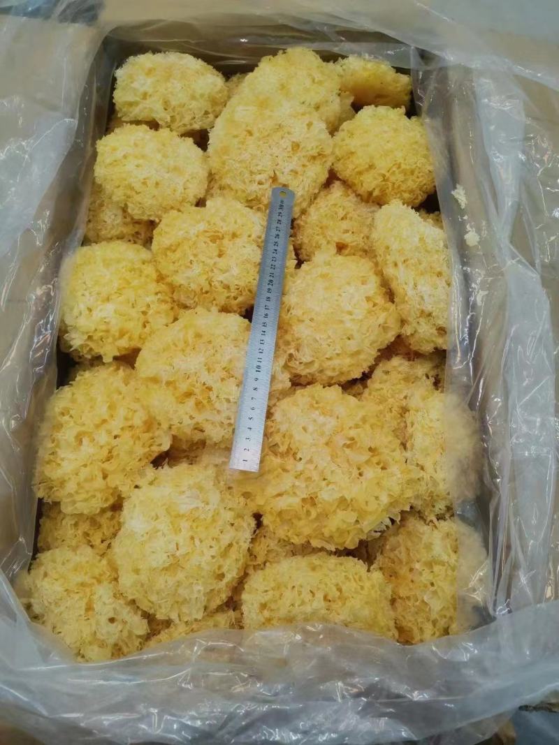 银耳产地直销批发大花雪耳糯耳干货精品烘干菌菇白木耳