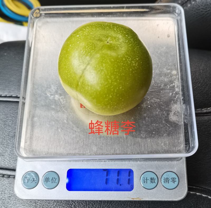 蜂糖李大量上市，口感脆甜，个头均匀，糖度高，价格优惠