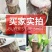 可开花巴西木养亲运盆栽室内四季长青驱蚊迷你绿植花卉盆栽