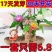 可开花巴西木养亲运盆栽室内四季长青驱蚊迷你绿植花卉盆栽