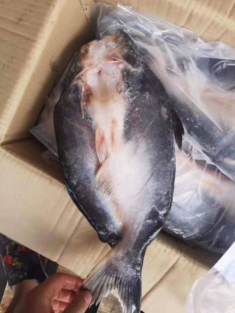 巴沙鱼巴沙鱼柳大量批发100件起批全国各地发均可冷链直达