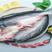 巴沙鱼质量好价格好一手货源批发量大价优全国可发货
