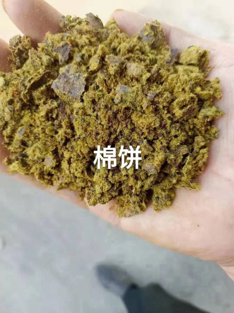 厂家直销。棉籽饼
