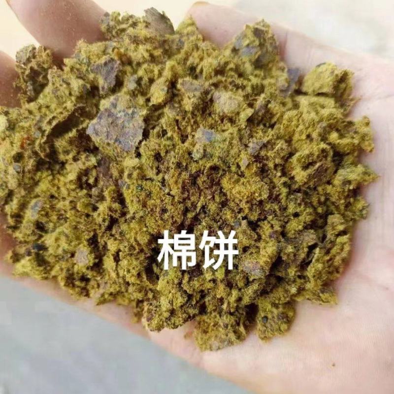 厂家直销。棉籽饼