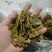 厂家直销。棉籽饼