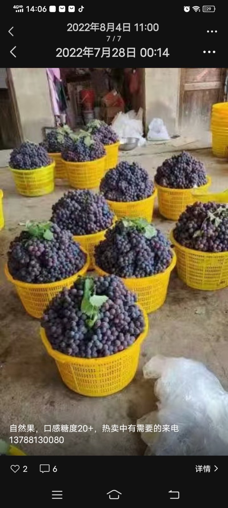 巨峰自然果