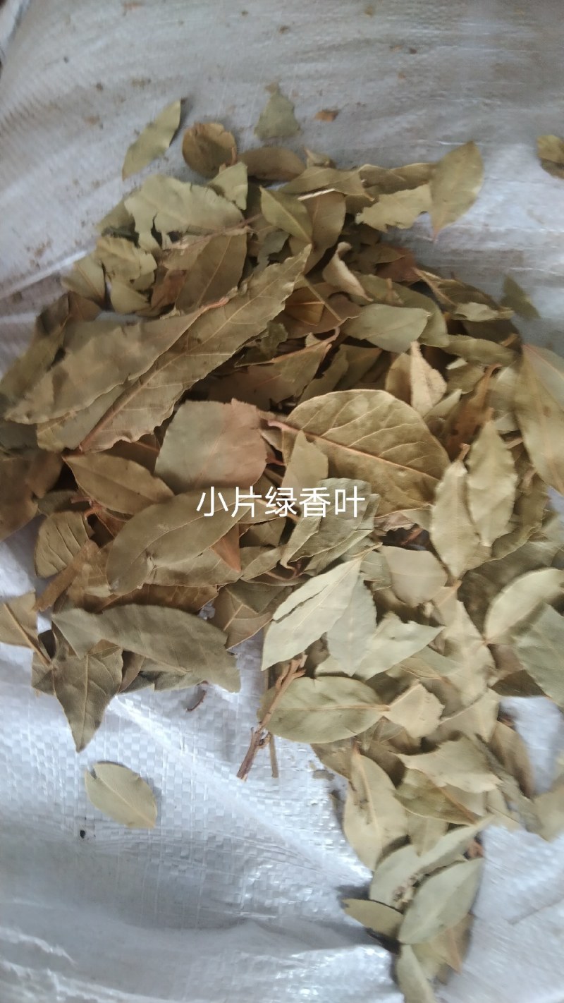 特绿香叶选货片大无枝梗统香叶统绿香叶大量供应批零兼营