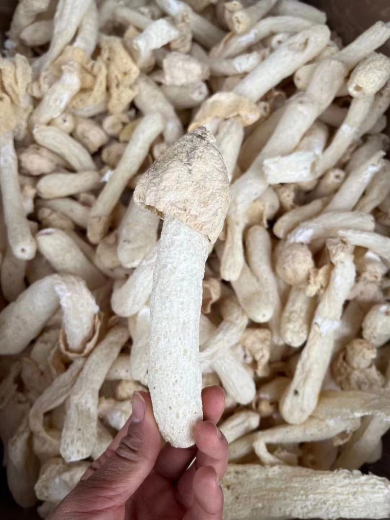 竹荪长裙产地直销批发精选竹荪短裙烘干竹笙干货菌菇土特产