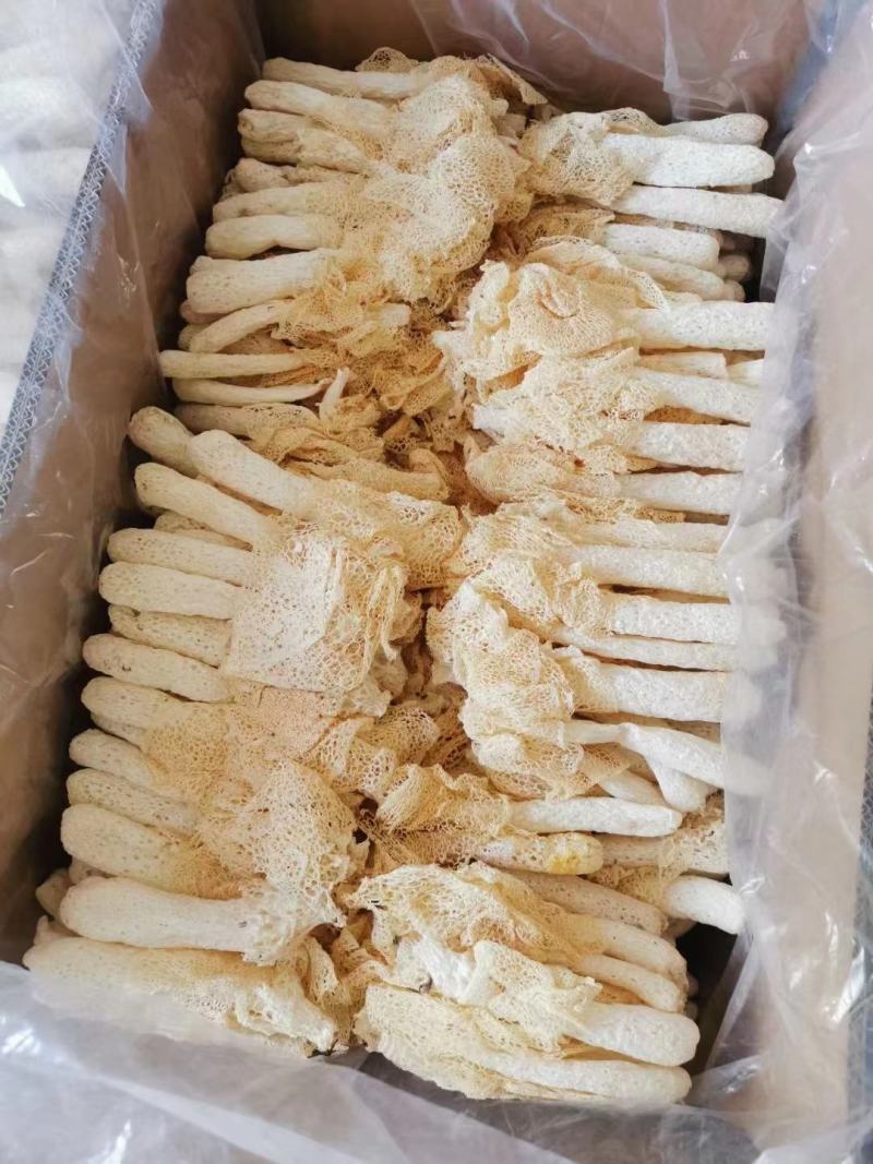竹荪长裙产地直销批发精选竹荪短裙烘干竹笙干货菌菇土特产