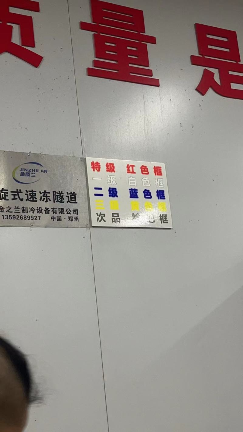 特级虾尾