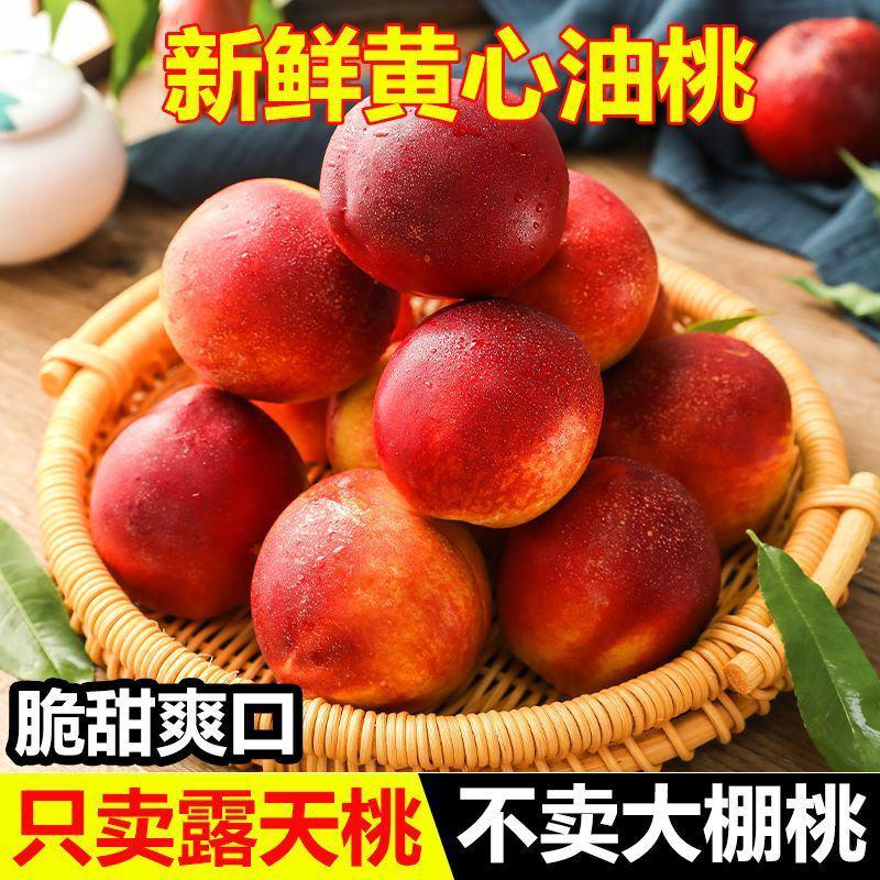 [热卖]黄心/曙光/中油油桃各种油桃原产地大量供应