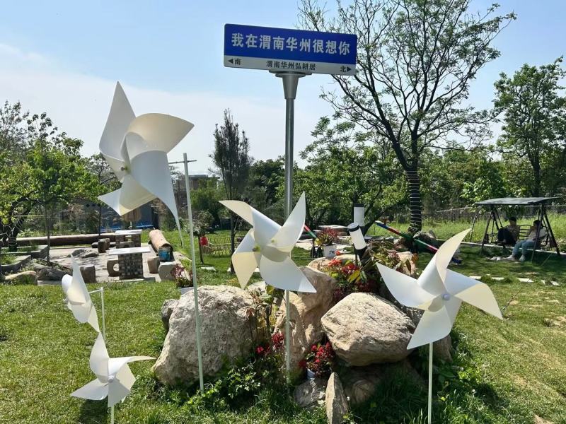 代收鲜黄花菜联系绿泡泡要妻吧六坝儿三救午要四