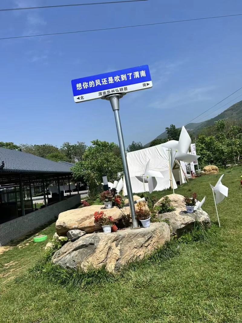 代收鲜黄花菜联系绿泡泡要妻吧六坝儿三救午要四
