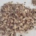 大金边灵芝2023新货香味十足