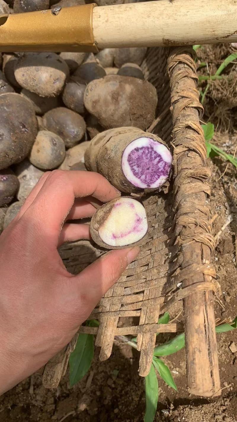 贵州特产乌洋芋