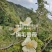 绢毛蔷薇