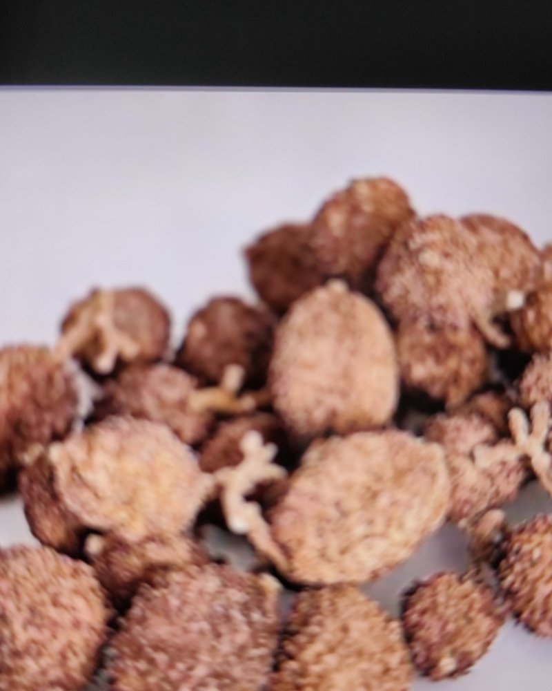 阳春砂仁