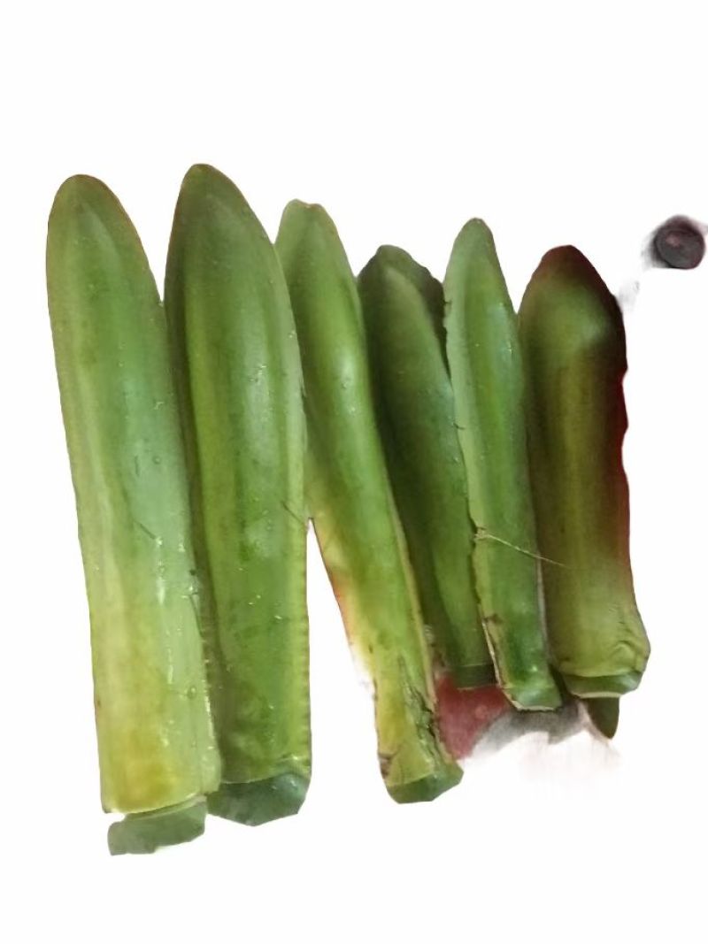海南现采槟榔花苞（新鲜）