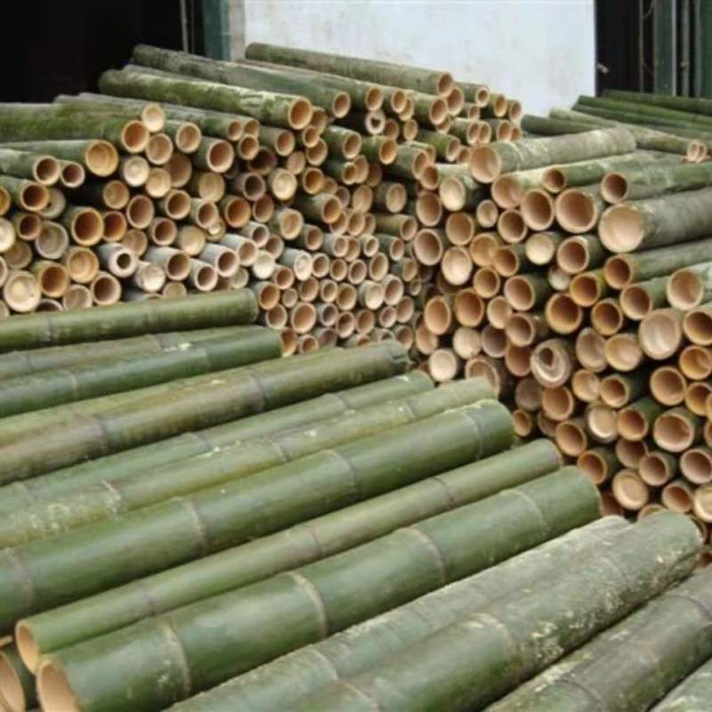 毛竹产地批发常年供应品质保证价格实惠一手货源