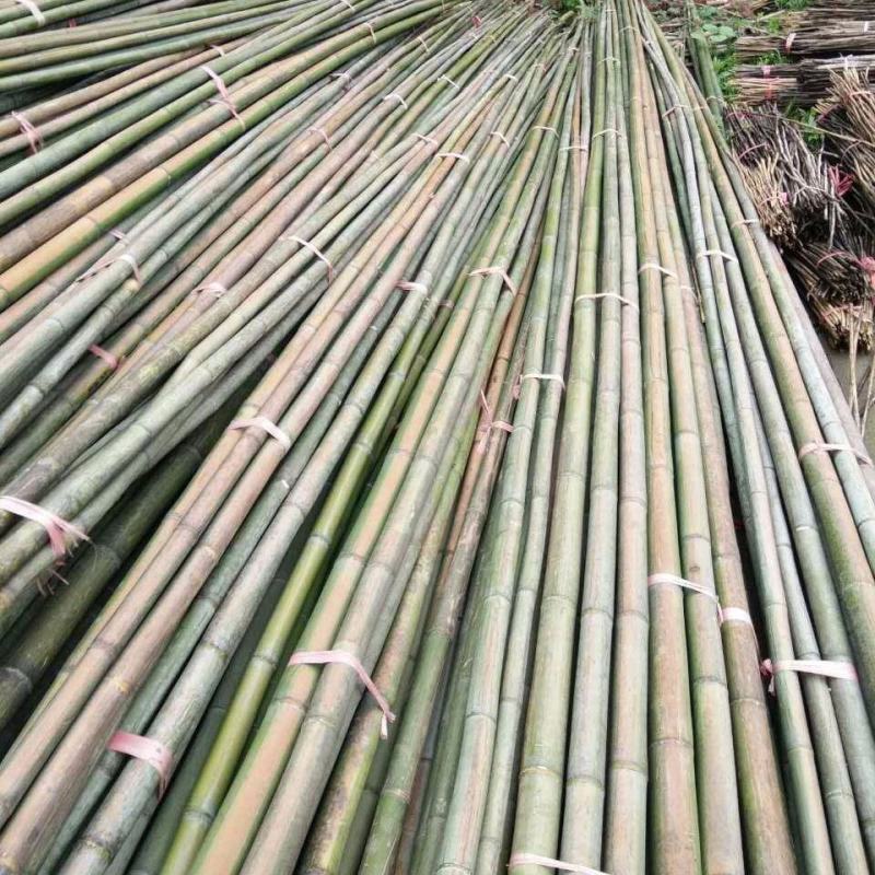 毛竹产地批发常年供应品质保证价格实惠一手货源
