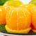 [湖北脐橙]夏橙对接各大市场商超电商各种规格欢迎来电采购