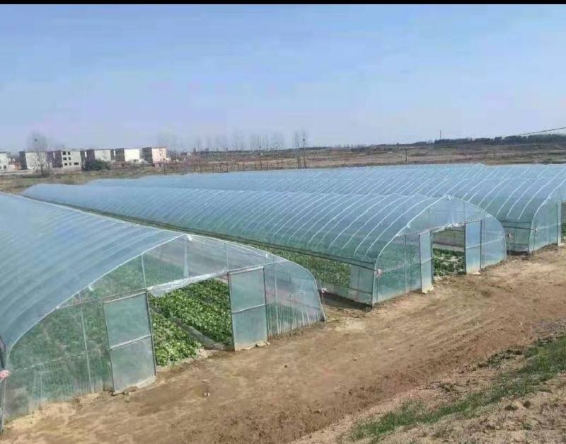 大棚钢管鬓腿联动棚温室棚，养殖棚，厂家直销价格优惠