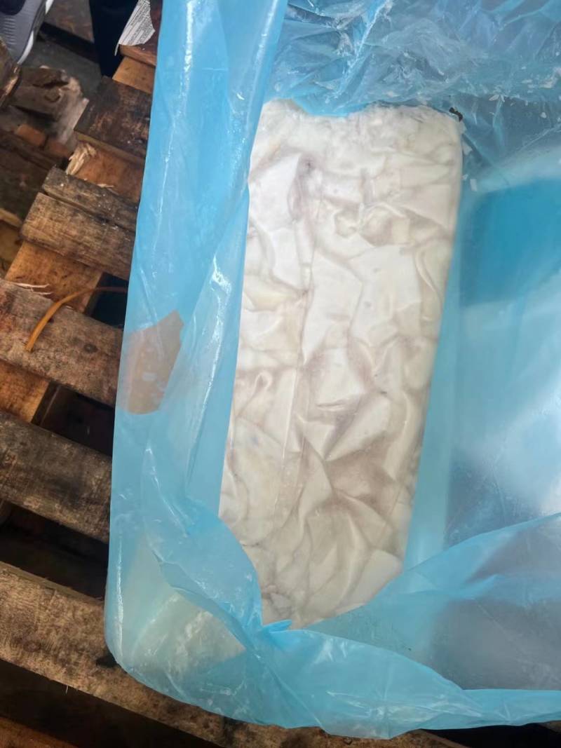 秘鲁鱿鱼碎肉20公斤量大询价