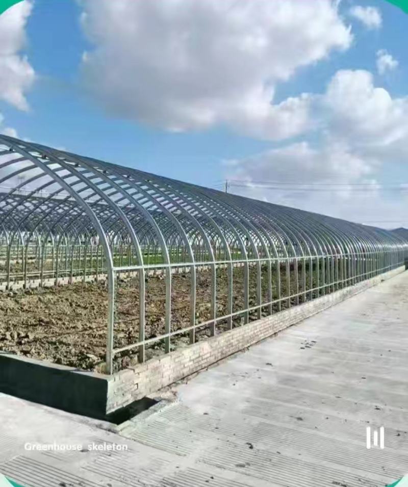大棚钢管椭圆管拱棚规格齐全厂家直销可定制欢迎咨询