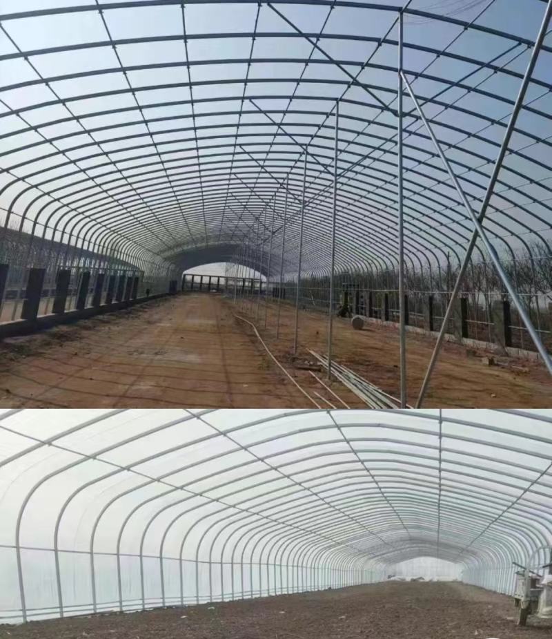 大棚钢管椭圆管拱棚规格齐全厂家直销可定制欢迎咨询