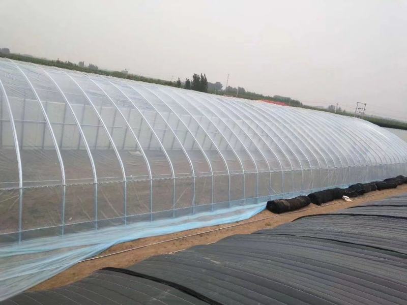 大棚钢管椭圆管拱棚规格齐全厂家直销可定制欢迎咨询