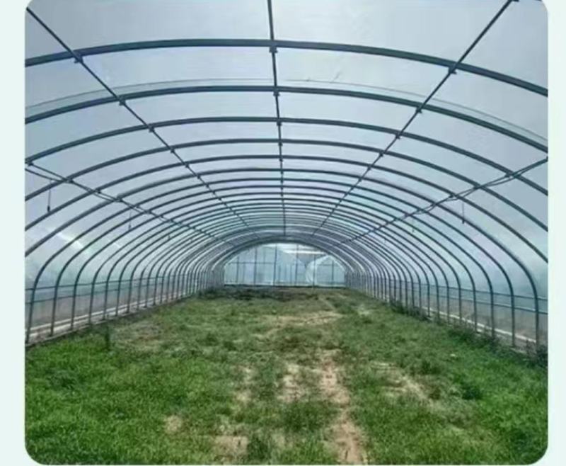 大棚钢管椭圆管拱棚规格齐全厂家直销可定制欢迎咨询