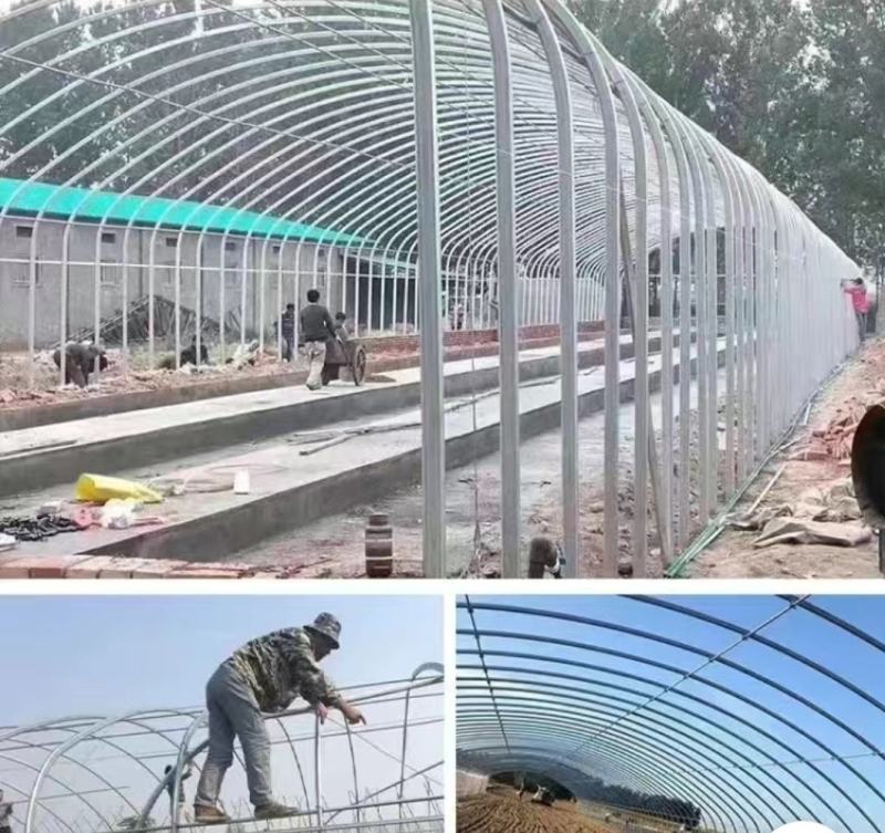 大棚钢管椭圆管拱棚规格齐全厂家直销可定制欢迎咨询