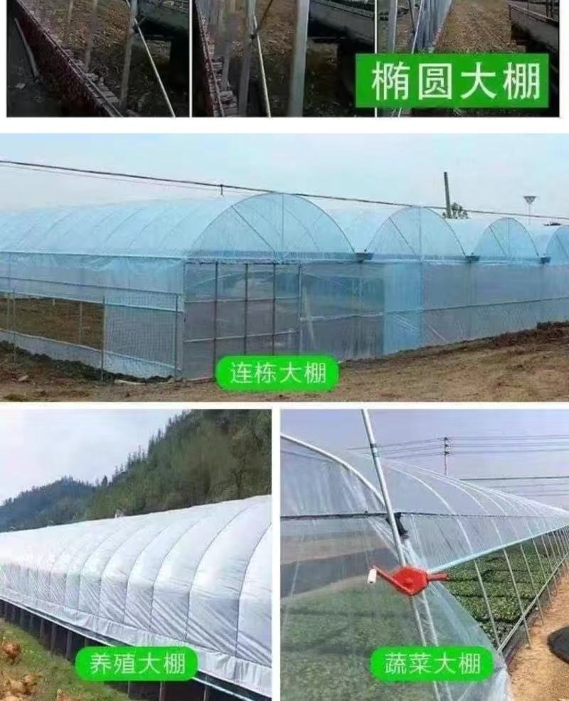 大棚钢管椭圆管拱棚规格齐全厂家直销可定制欢迎咨询