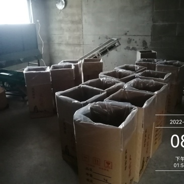 茶礼可定制，批量价更优