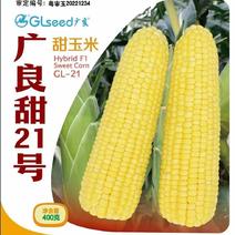 广良甜21号广良甜27号泰系甜玉米种子大穗高产