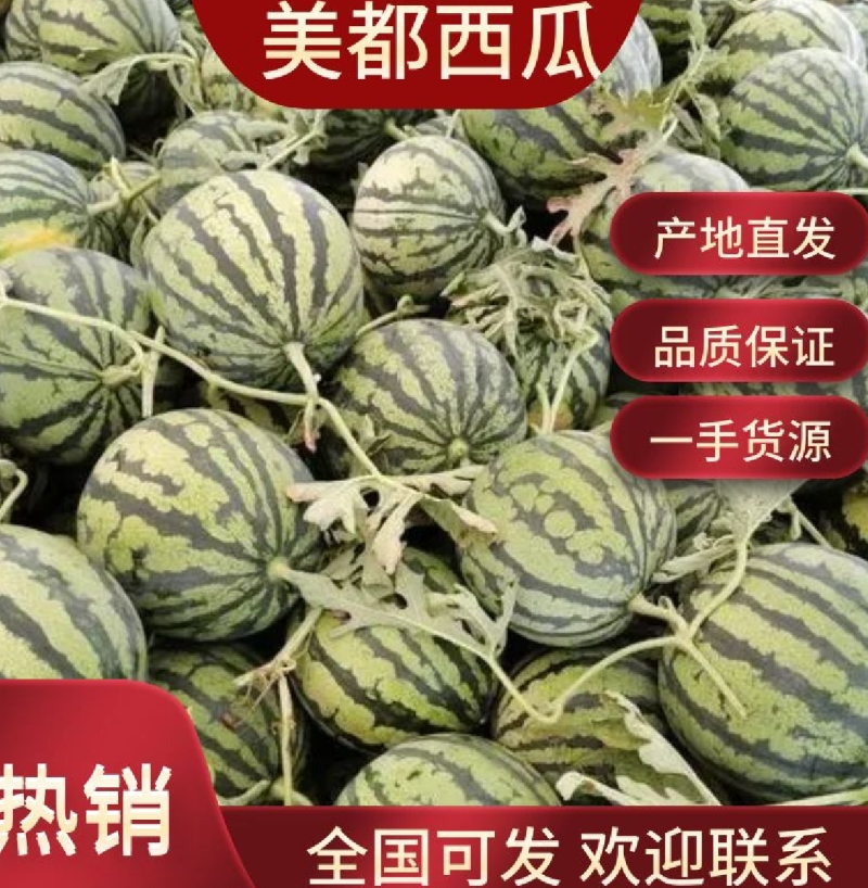 湖北嘉鱼西瓜佳秀西瓜美都西瓜！4K需要的联系