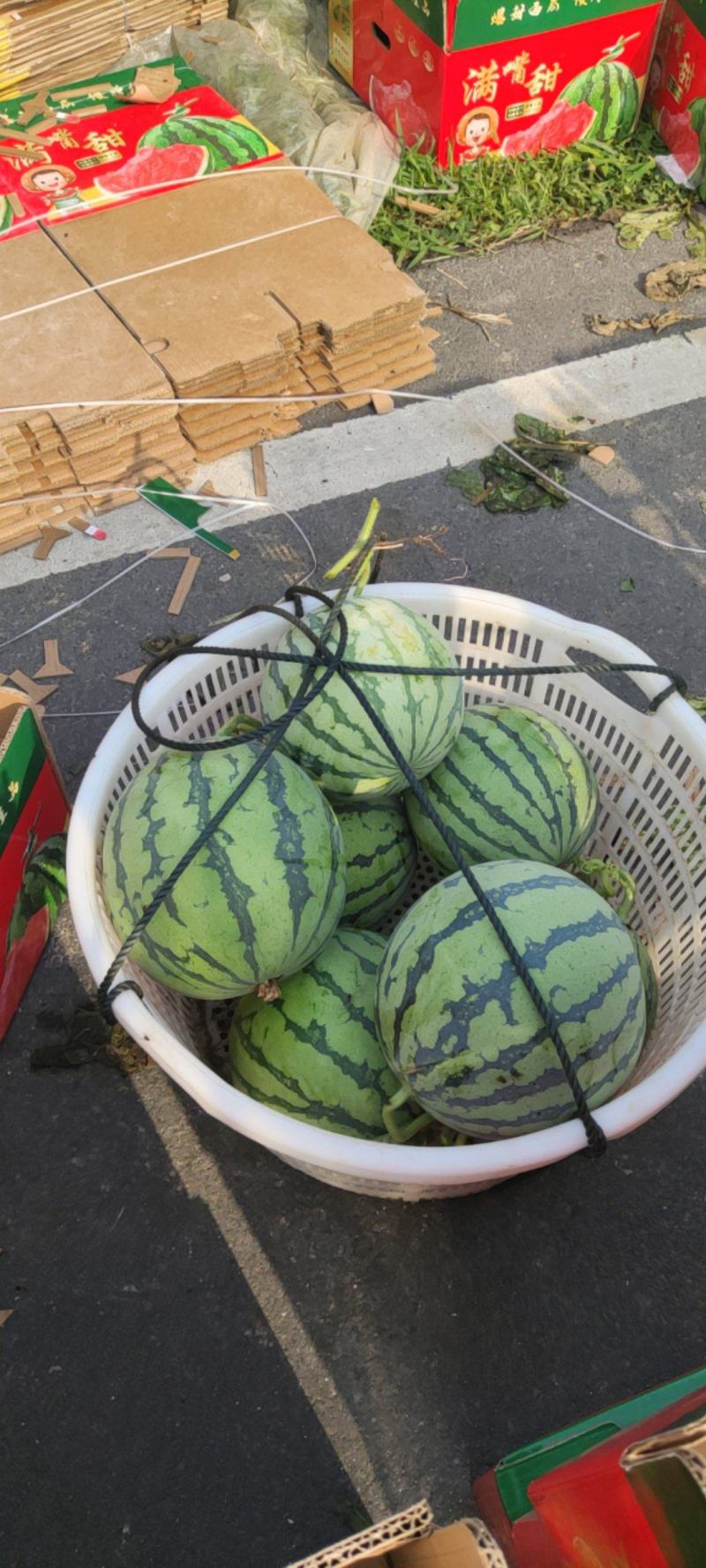 江苏盐城有麒麟8424大量供供