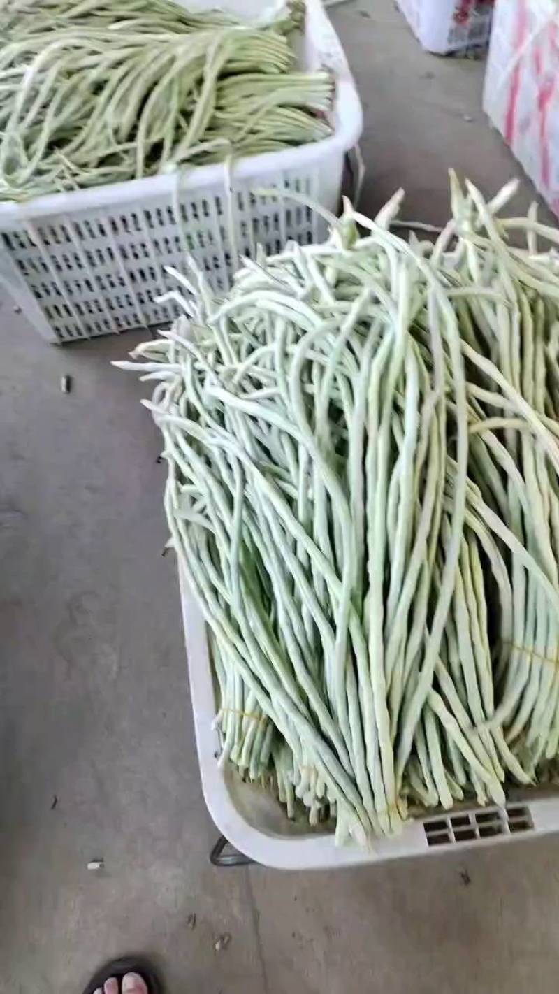 白豆角产地直发，长豆角，白豆角，湖北精品白豆角，基地直供