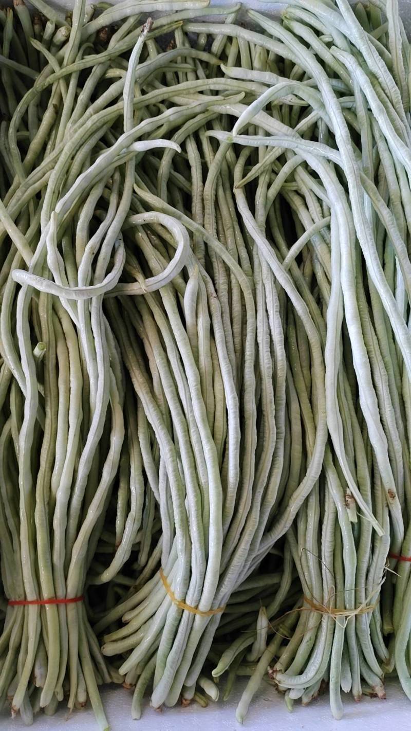 白豆角产地直发，长豆角，白豆角，湖北精品白豆角，基地直供