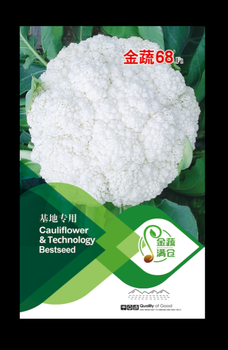 优质散花苗有机松花苗65天/88天/108天大型苗场直销