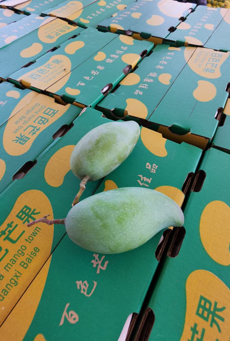 广百色田东甜心芒果，产地直发，落地配，电商，全国整车发货