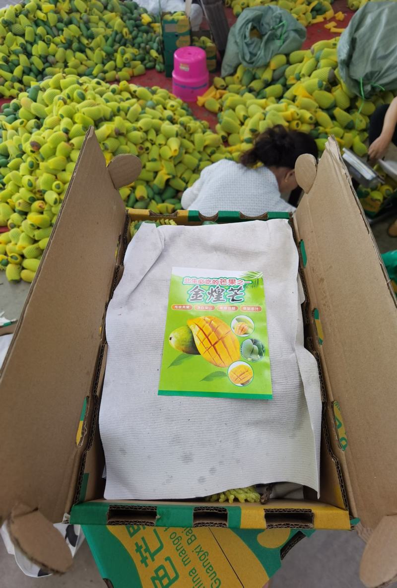 广百色田东甜心芒果，产地直发，落地配，电商，全国整车发货