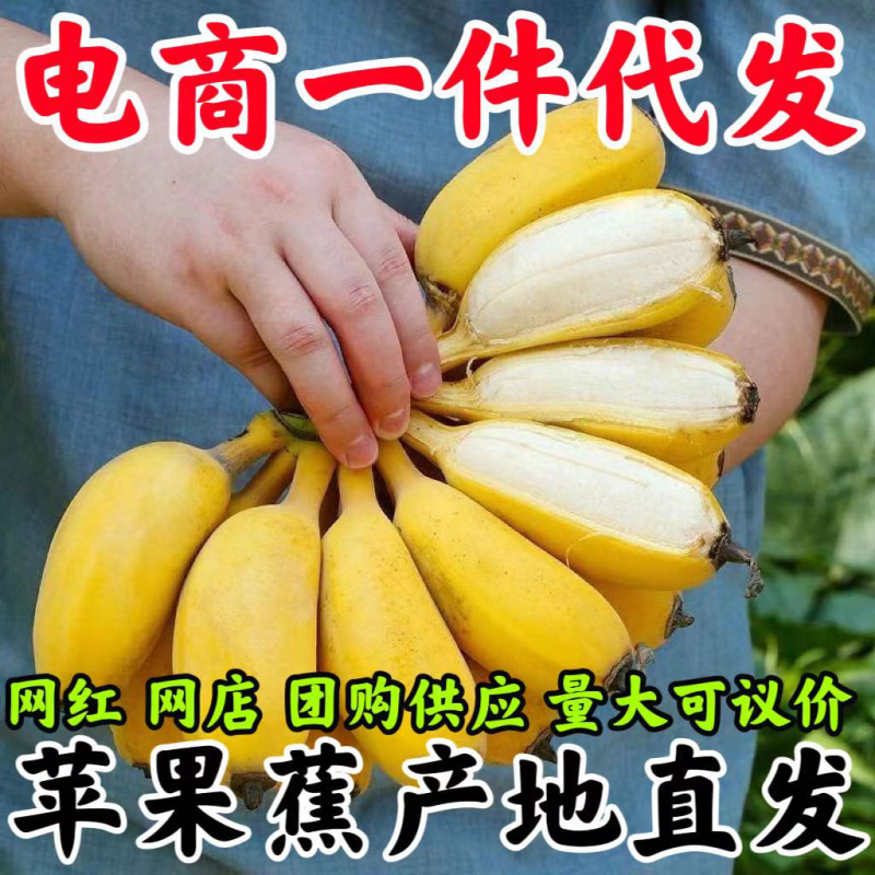 广西苹果粉蕉新鲜水果软糯孕妇水果批发一件代发
