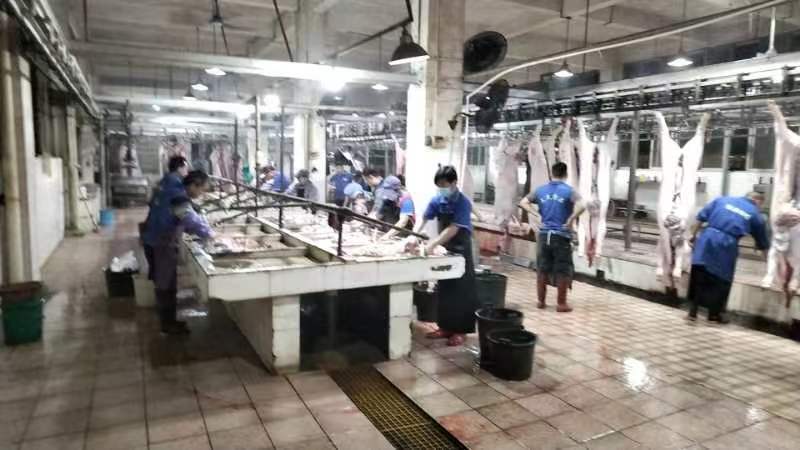 广西容县白条猪肉批发，厂家直发，质量保证，供应全国
