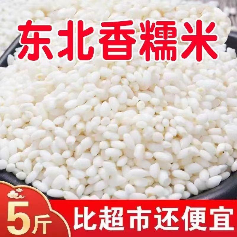 正宗东北五常新鲜圆糯米新米包粽子江米圆粒糯米洒酿粘大米