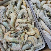3040南美白对虾/青虾优质海鲜冻品食材